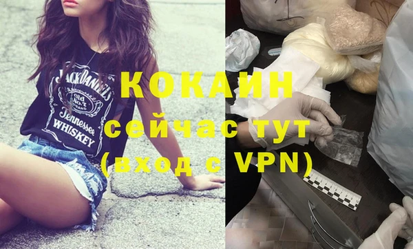 2c-b Богородицк