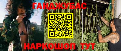 гашик Моздок