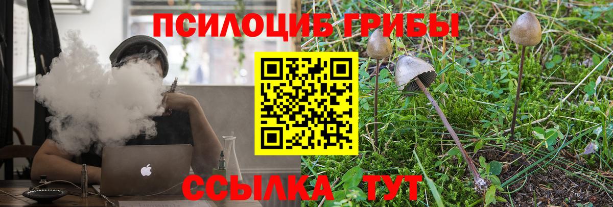 Галлюциногенные грибы Magic Shrooms  Галлюциногенные грибы Cubensis  Вход с VPN  Красногорск 